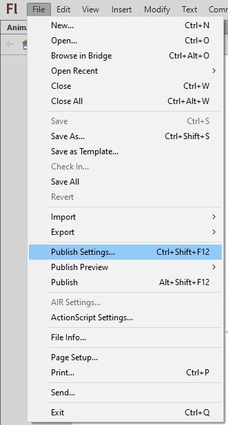 File publish settings